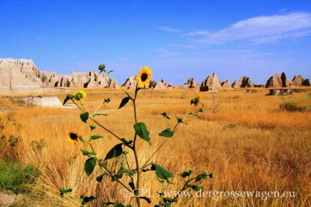 Badlands_Nationalpark19