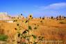 Badlands_Nationalpark19