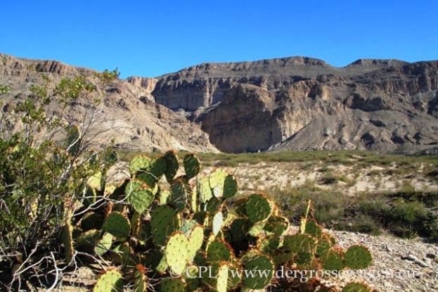 Boquillas_Canyon_01