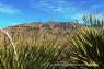 Ross_Maxwell_Scenic_Drive_01