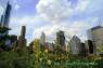 Chicago_20