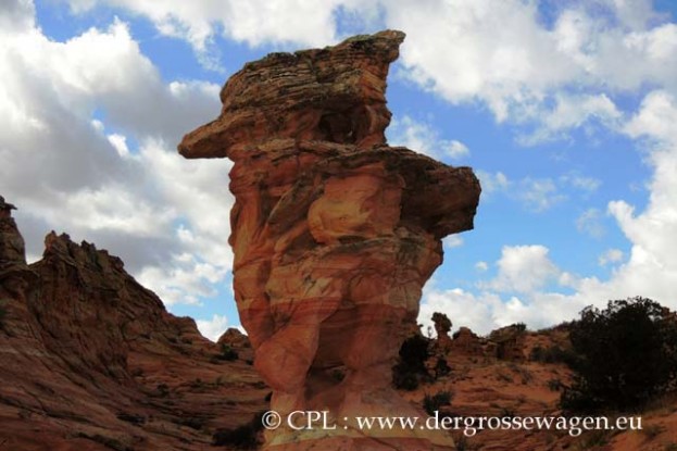 Coyote_Buttes_South_32