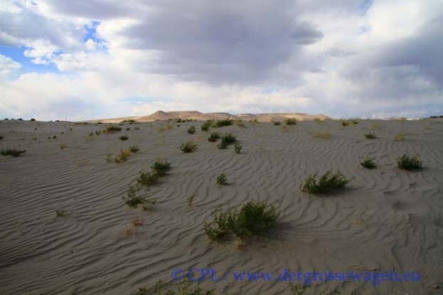 Killpecker_Dunes_02