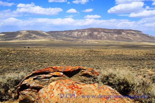 Steamboat_Mountain