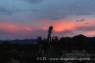 Sonnenuntergang