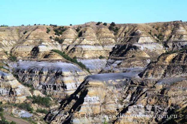 Roosevelt_Nationalpark_Nord09