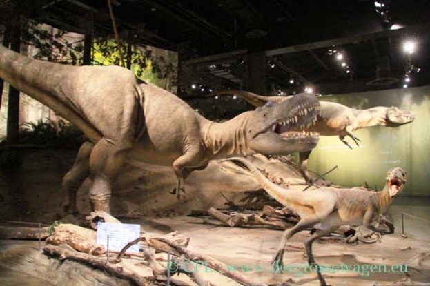 Drumheller_Royal_Tyrell_Museum_03