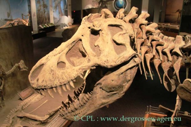 Drumheller_Royal_Tyrell_Museum_14