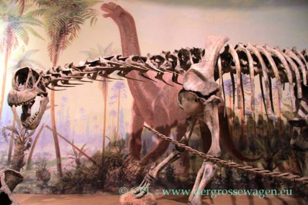 Drumheller_Royal_Tyrell_Museum_16