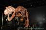 Drumheller_Royal_Tyrell_Museum_10