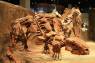 Drumheller_Royal_Tyrell_Museum_18