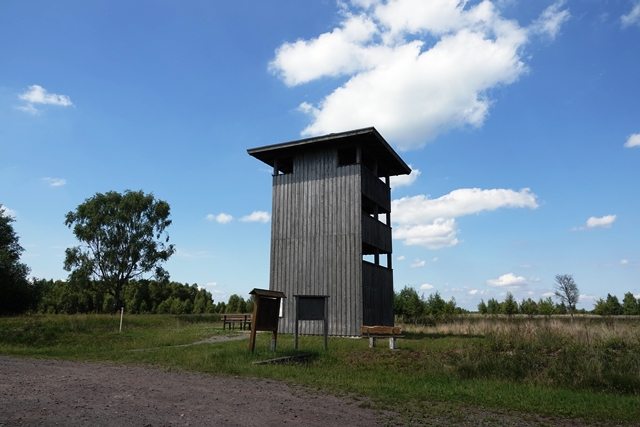 Duemmer Beboachtungsturm Rehdener Geestmoor 01