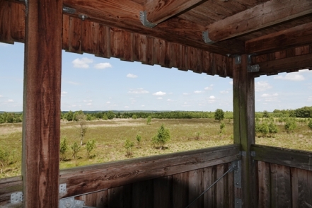 Duemmer Beboachtungsturm Rehdener Geestmoor 02
