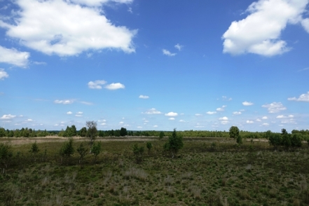 Duemmer Blick Turm Rehdener Geestmoor