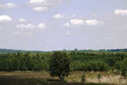 Duemmer Blick Turm Rehdener Geestmoor