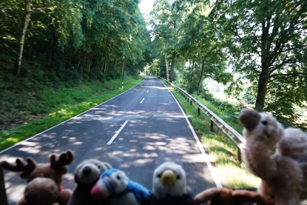 Fahrt Naturpark Solling Vogler