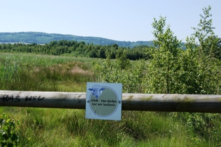 Landschaft Grosses Torfmoor