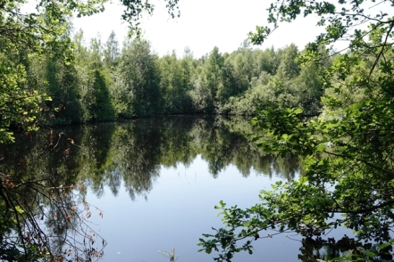 Landschaft Grosses Torfmoor