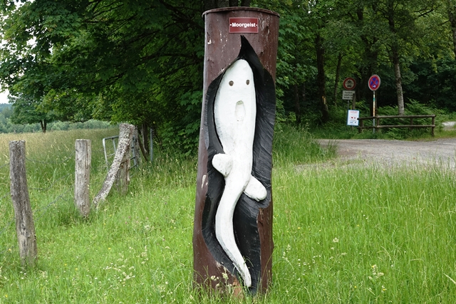 Naturpark Solling Vogler Mecklenbruch