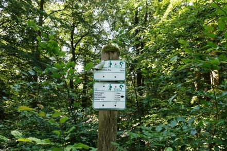 Naturpark Solling Vogler Wanderschild