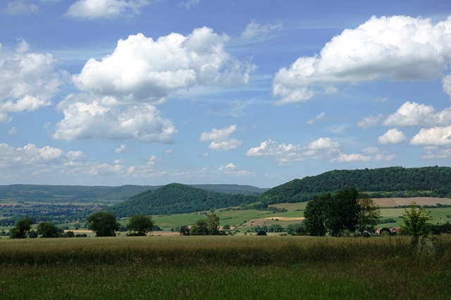 Naturpark Solling Vogler