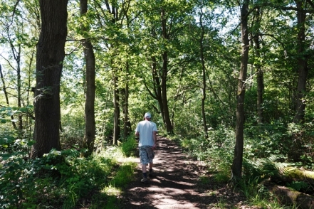 Wanderung Grosses Torfmoor