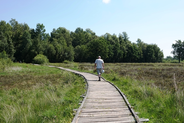 Wanderung Grosses Torfmoor