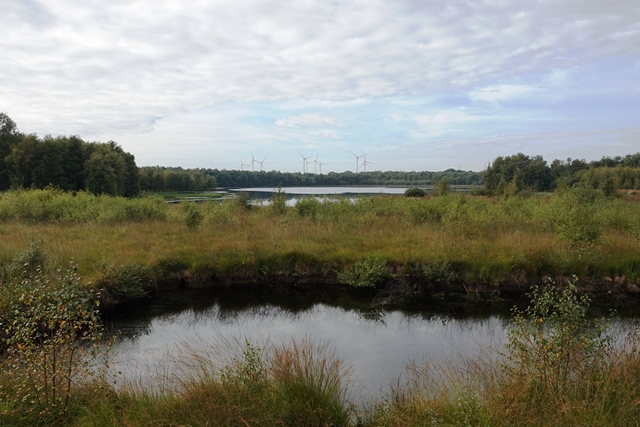 Theikenmeer