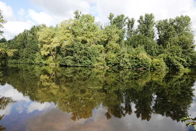 Borkener Paradies Altarm Ems