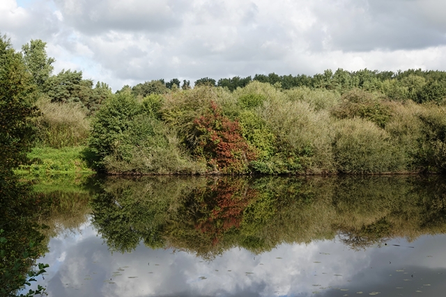 Borkener Paradies Altarm Ems