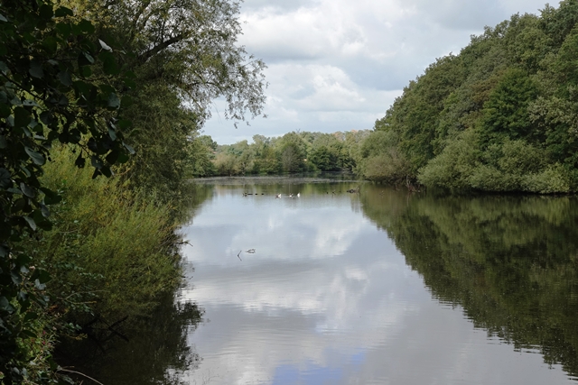 Borkener Paradies