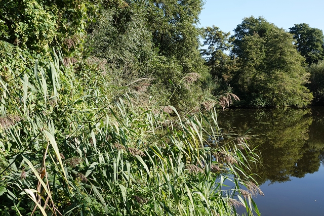 Borkener Paradies