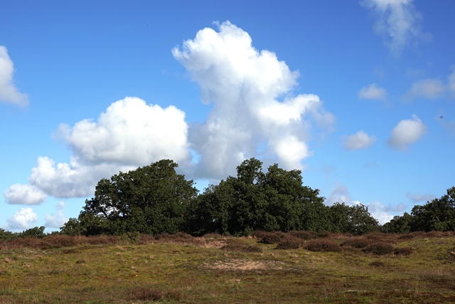 Borkener Paradies