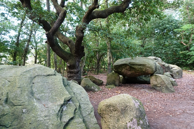 Großsteingrab auf Bruneforths Esch