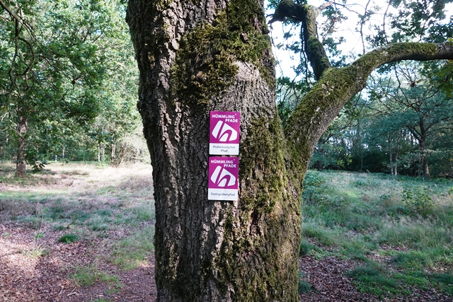 Hümmling Wanderzeichen