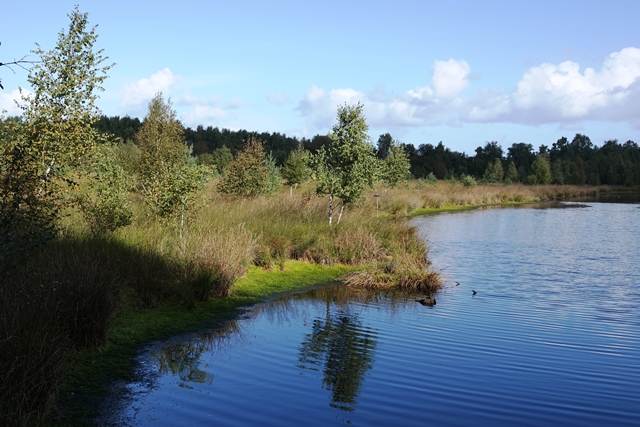 Moor-Infopfad Esterwegen Meermoor