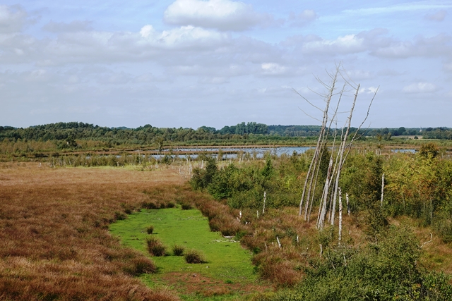 Theikenmeer Blick von Grzimek-Turm
