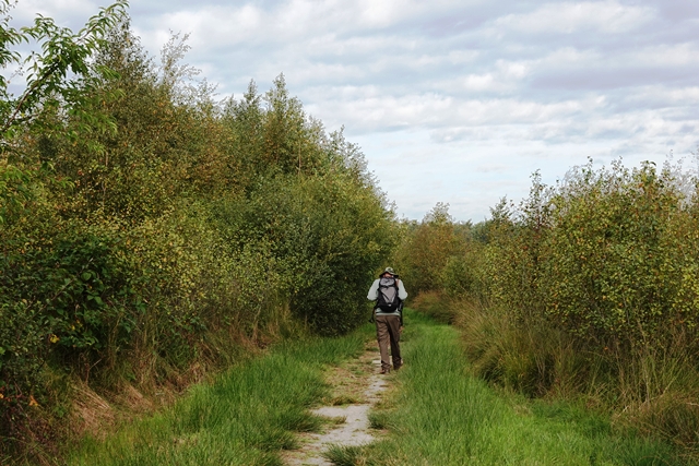 Theikenmeer Wanderung